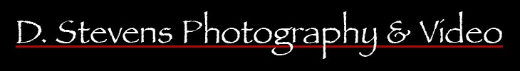 D. Stevens Photography - logo graphic