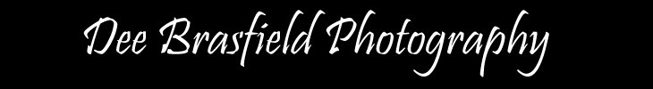 Dee Brasfield Photography - logo graphic