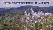  Jerry D. Hatley Photography - logo graphic